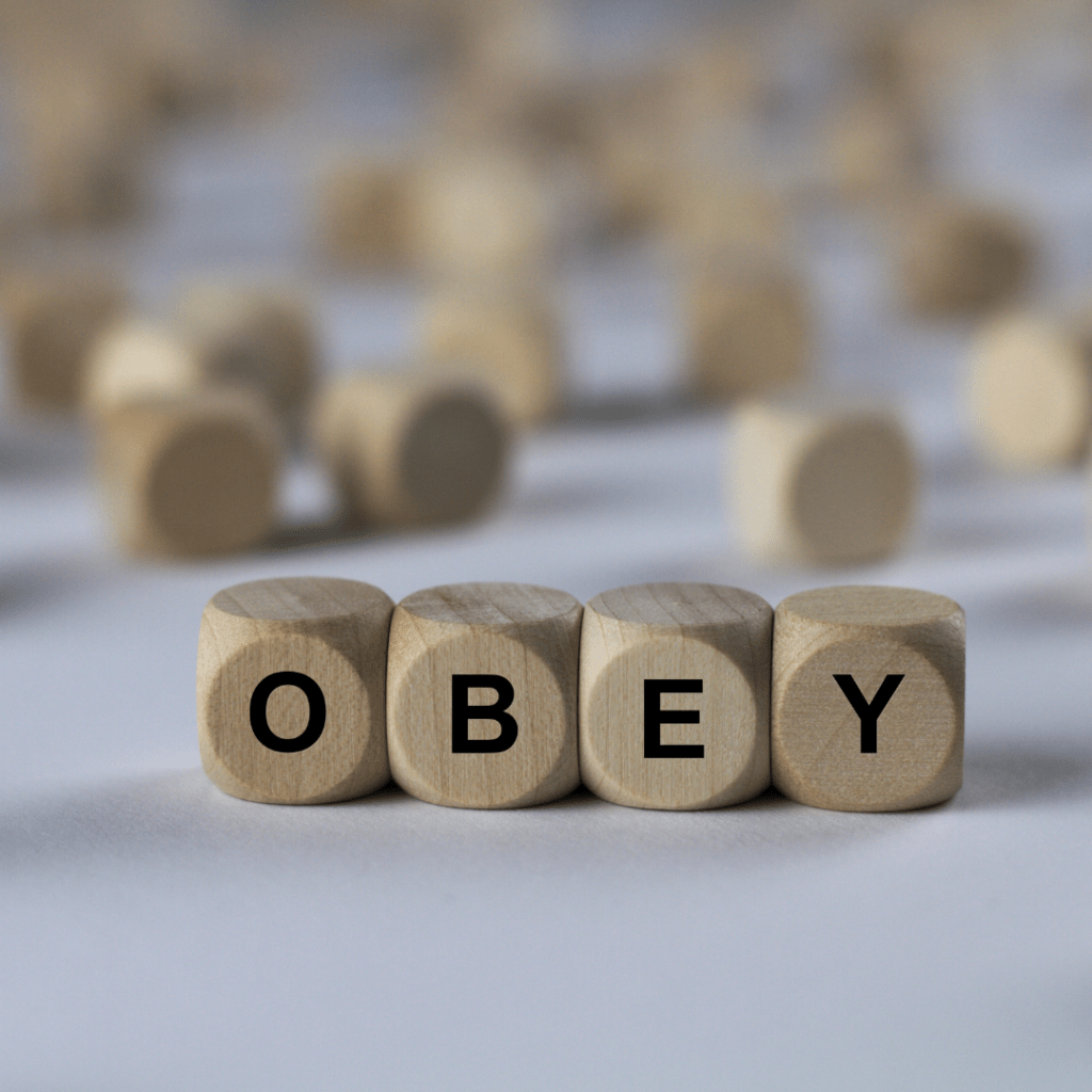 Letting Go: The True Test of&nbsp;Obedience